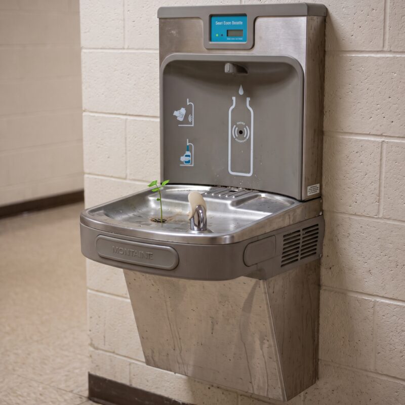 Entretien des fontaines d’eau : routine quotidienne et mensuelle